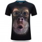  3D T Shirt Men  Animals Print 